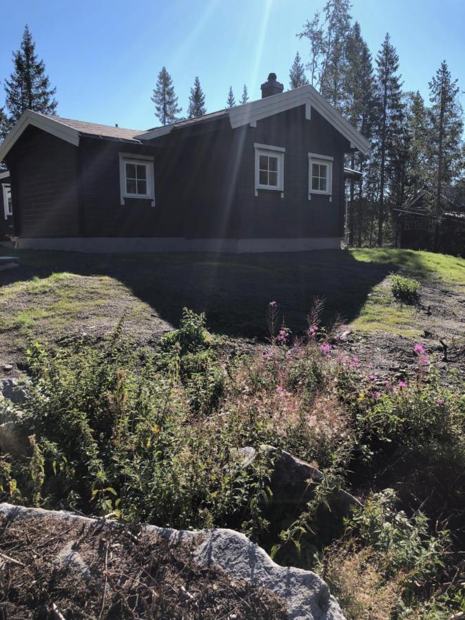 Fresh Familie Hytte Hemsedal Eksteriør billede