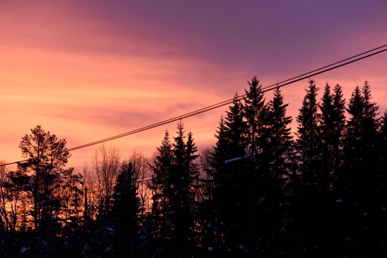 Fresh Familie Hytte Hemsedal Eksteriør billede